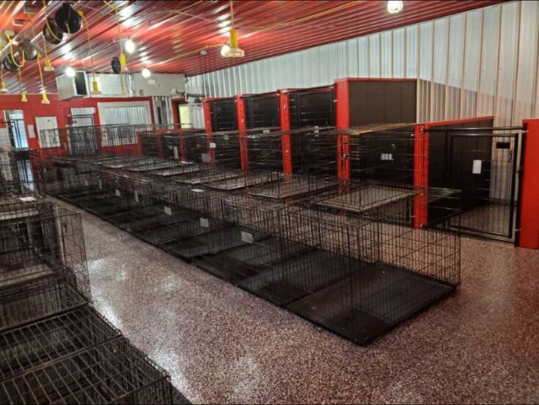 A large room filled with lots of cages and mats.
