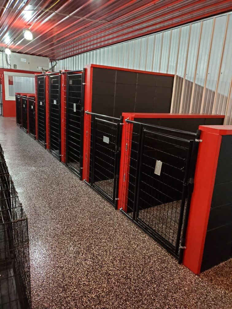 A row of black and red dog kennels in a building.