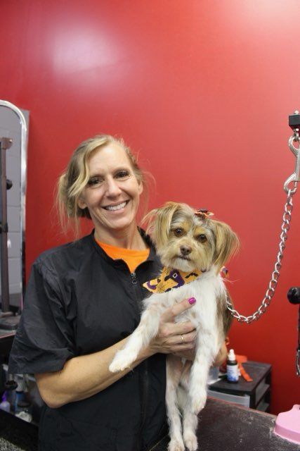 A woman is holding a small brown and white dog
