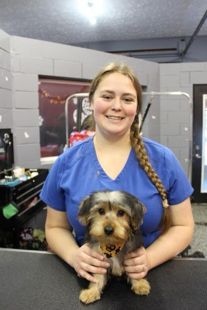 A woman in a blue shirt is holding a small dog