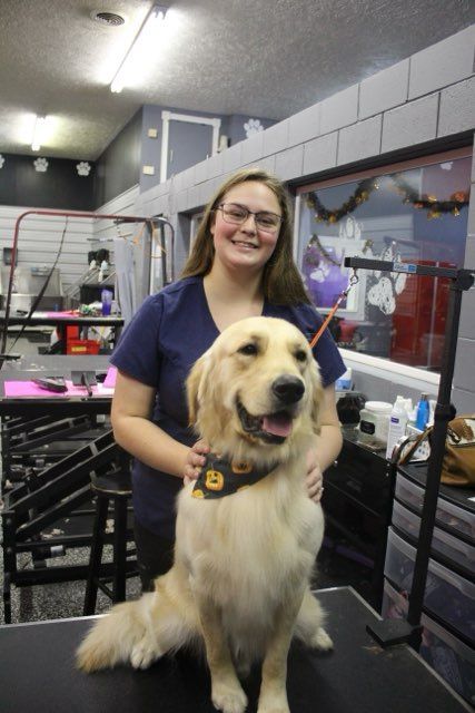 A woman is standing next to a dog in a grooming salon.