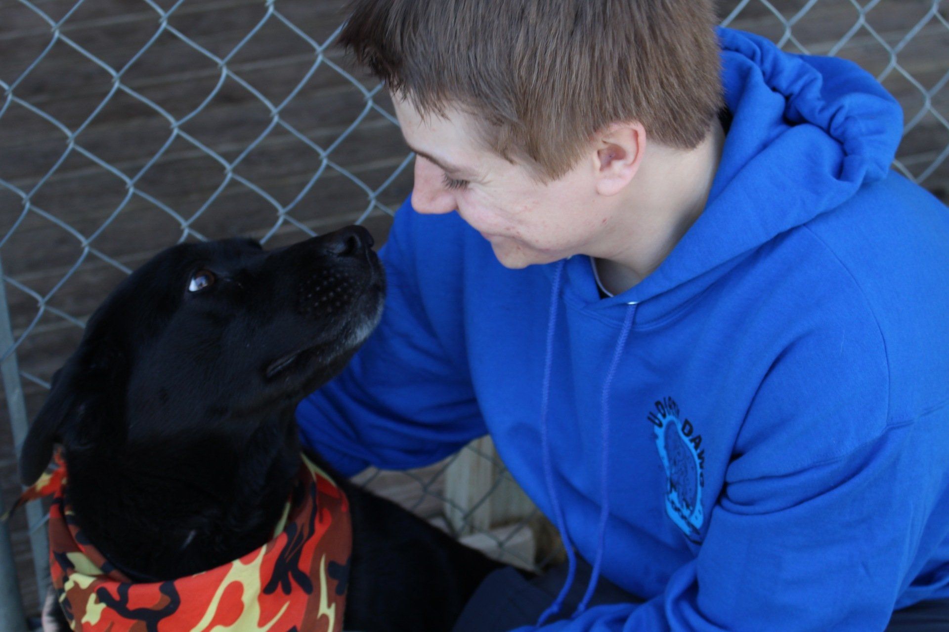 A man in a blue hoodie is petting a black dog