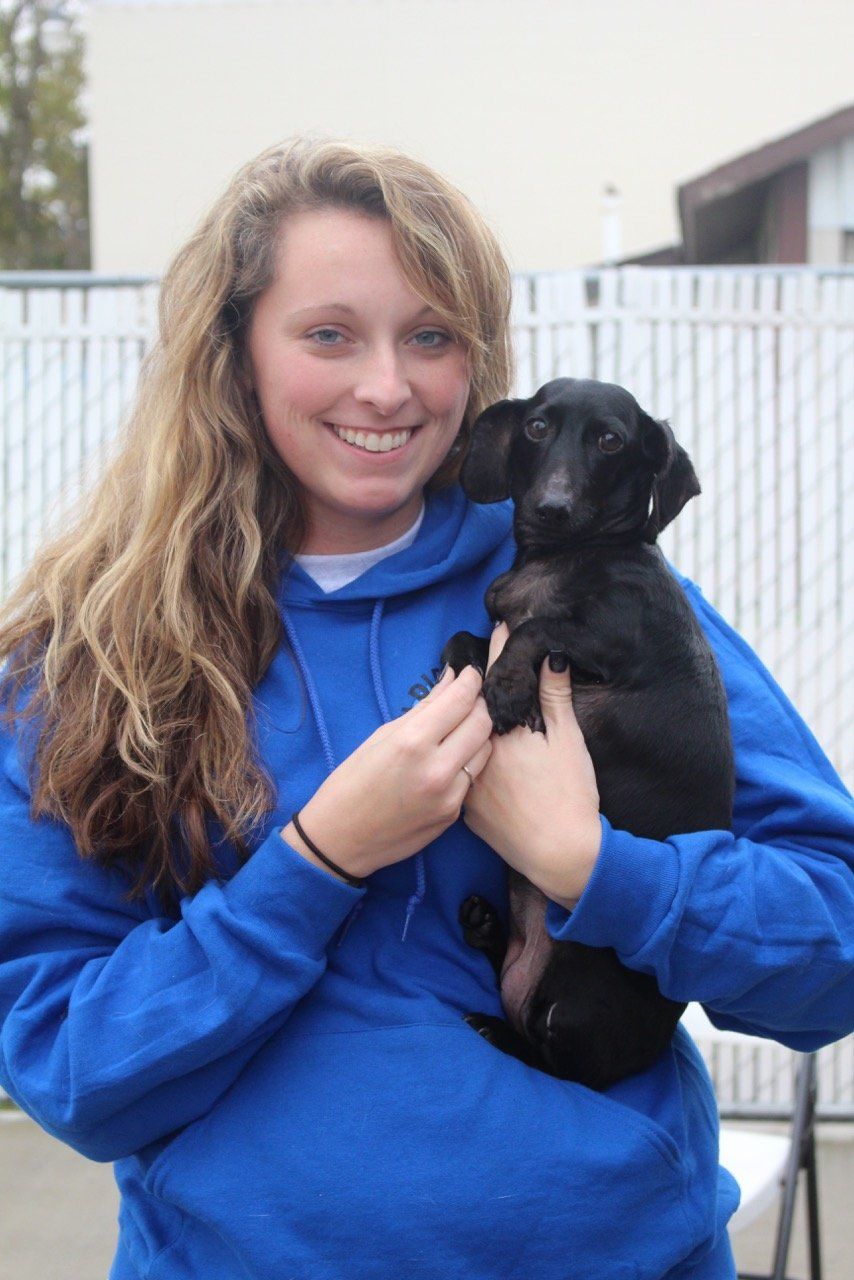A woman in a blue sweatshirt is holding a black puppy
