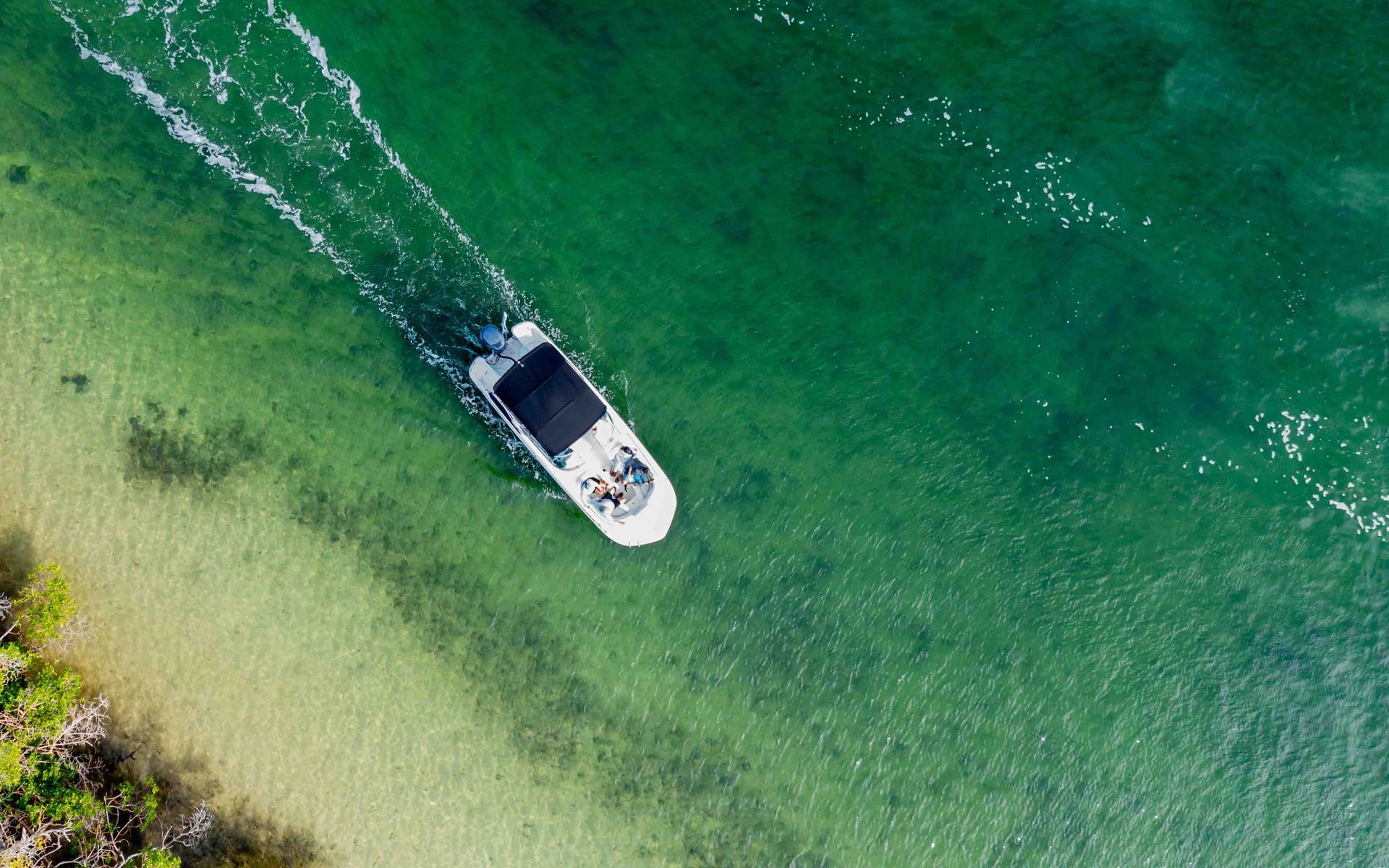 request-call-back-latitude-27-charters
