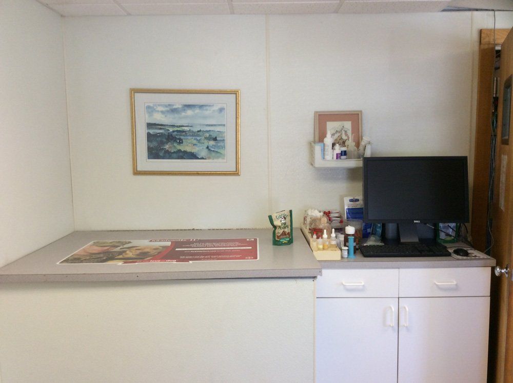 Veterinary  Hospital