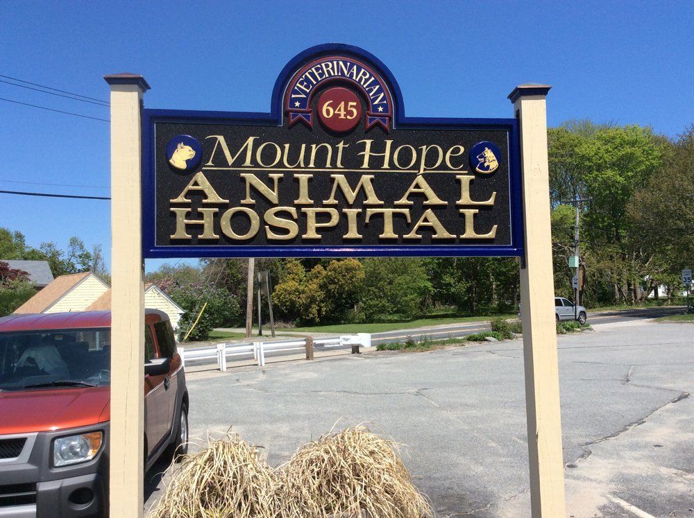 Mt. Hope Animal Hospital