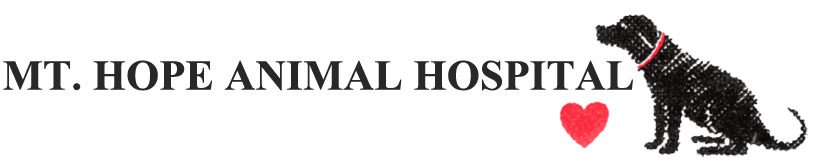 Mt. Hope Animal Hospital - Logo