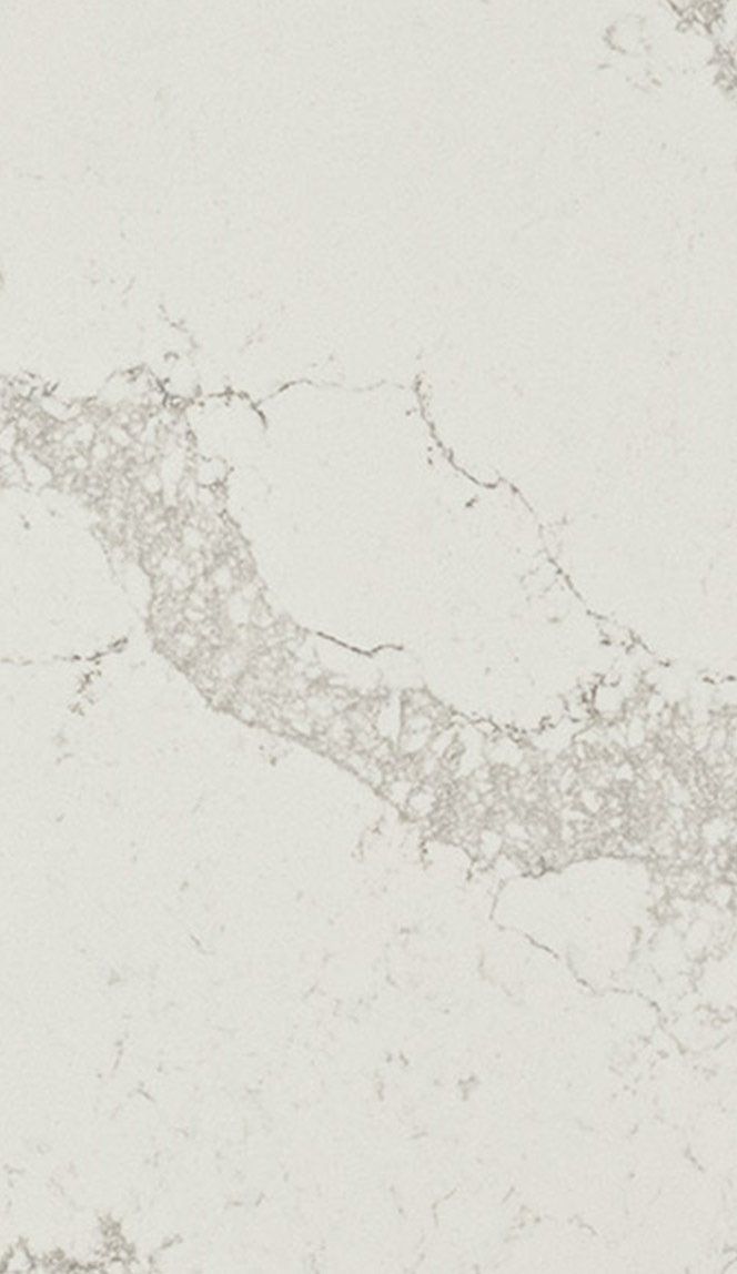 5031 Statuario Maximus