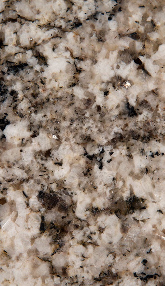 Arctic Sand Granite