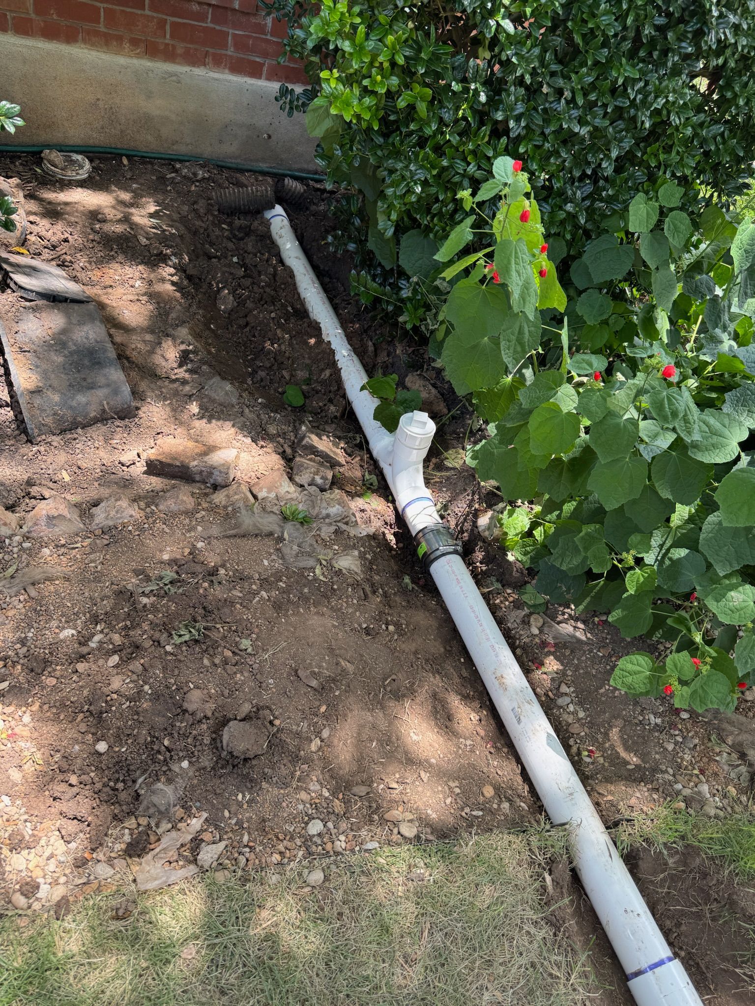 White drainage pipe runs along dirt ground near a building's brick wall and green bushes.