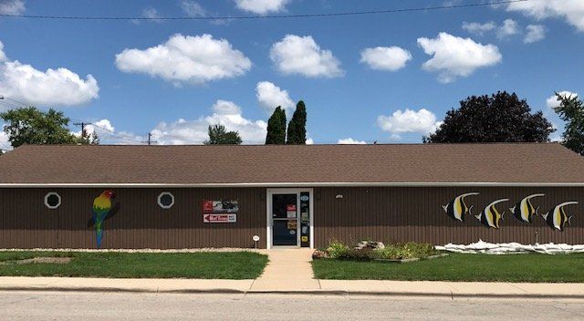 Paws and Claws & Company