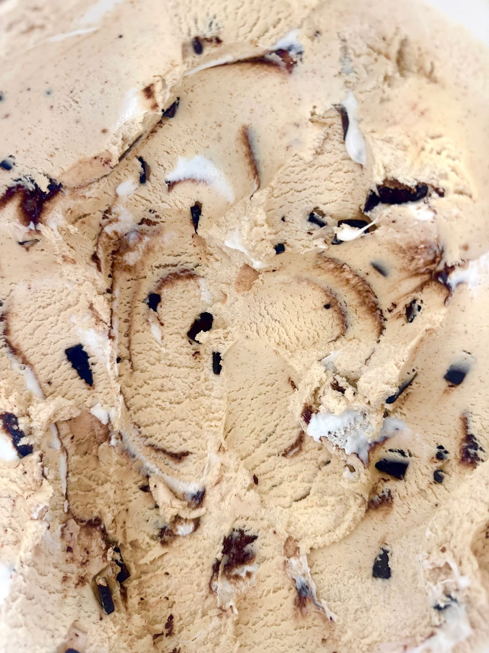 A close up of a scoop of chocolate chip ice cream