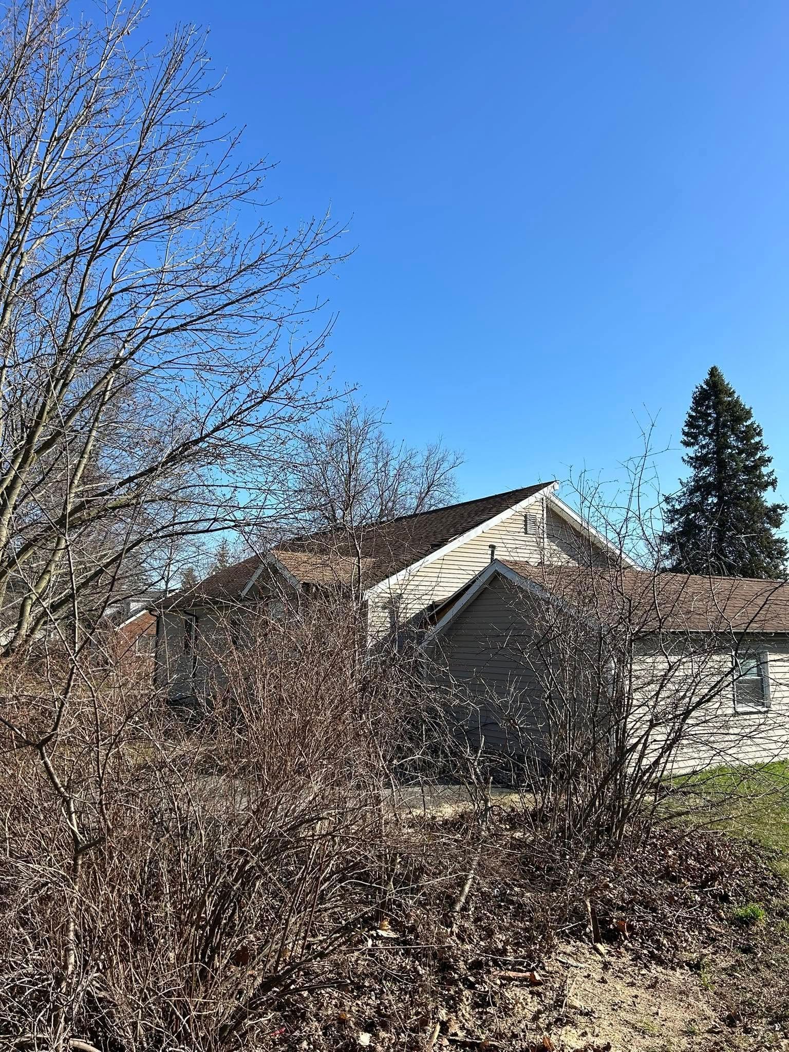A house with a brown roof, partially obscured by bare trees and bushes, against a bright blue sky.