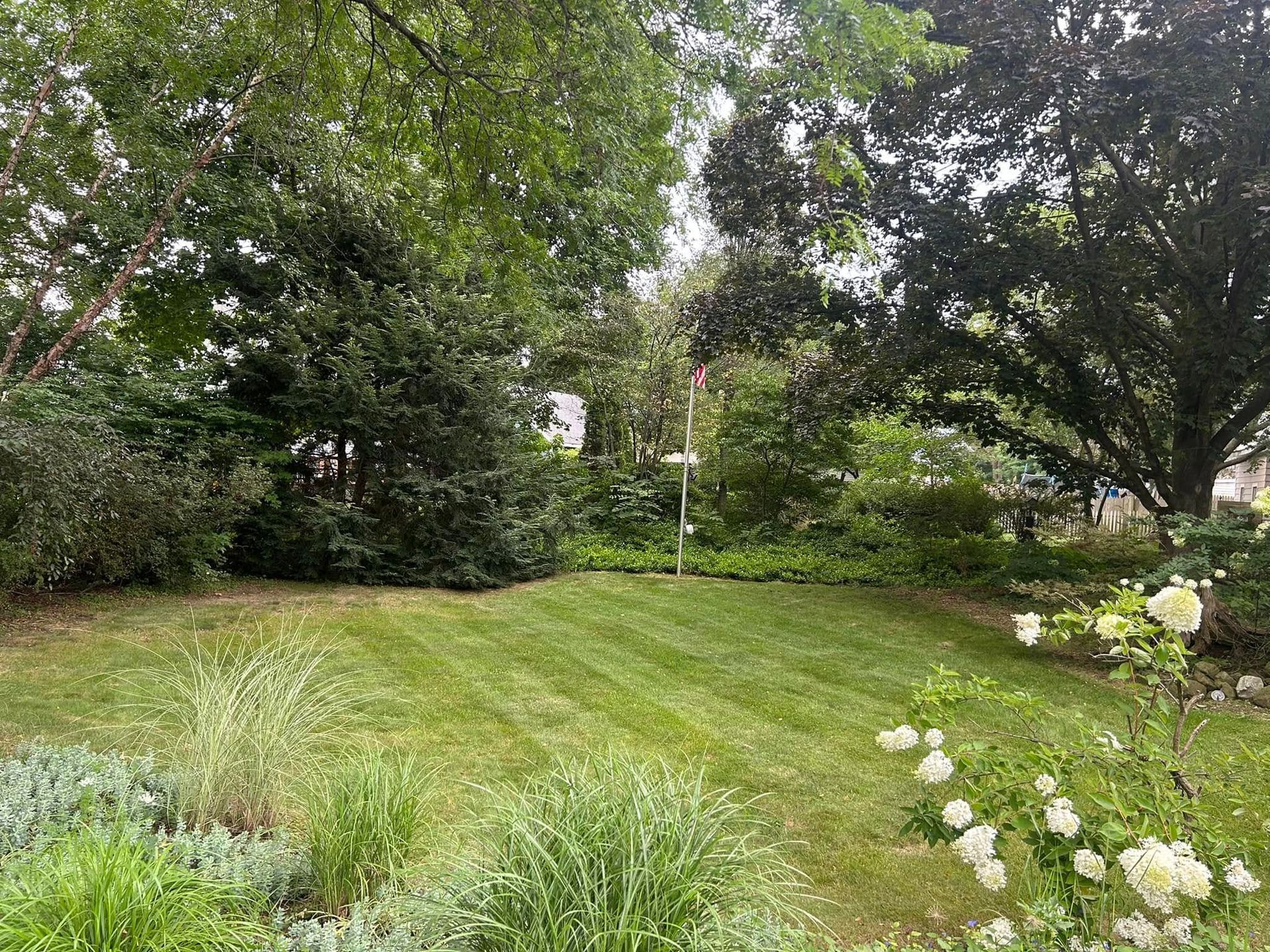 Lush green lawn, trimmed grass, various green trees, and white flowers in a garden setting.
