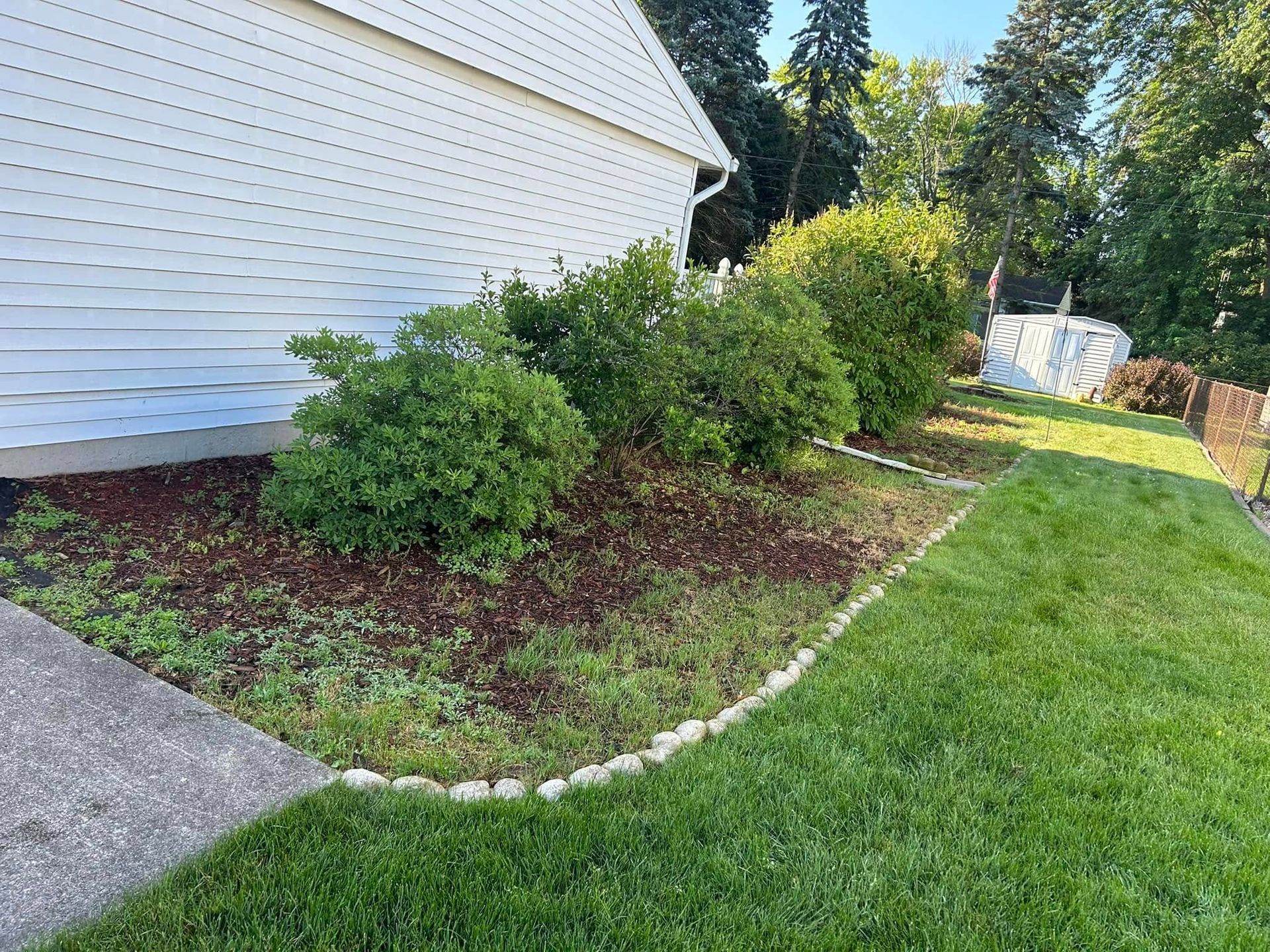 Green shrubs in a mulched bed next to a house and grass. Bordered by decorative stones.