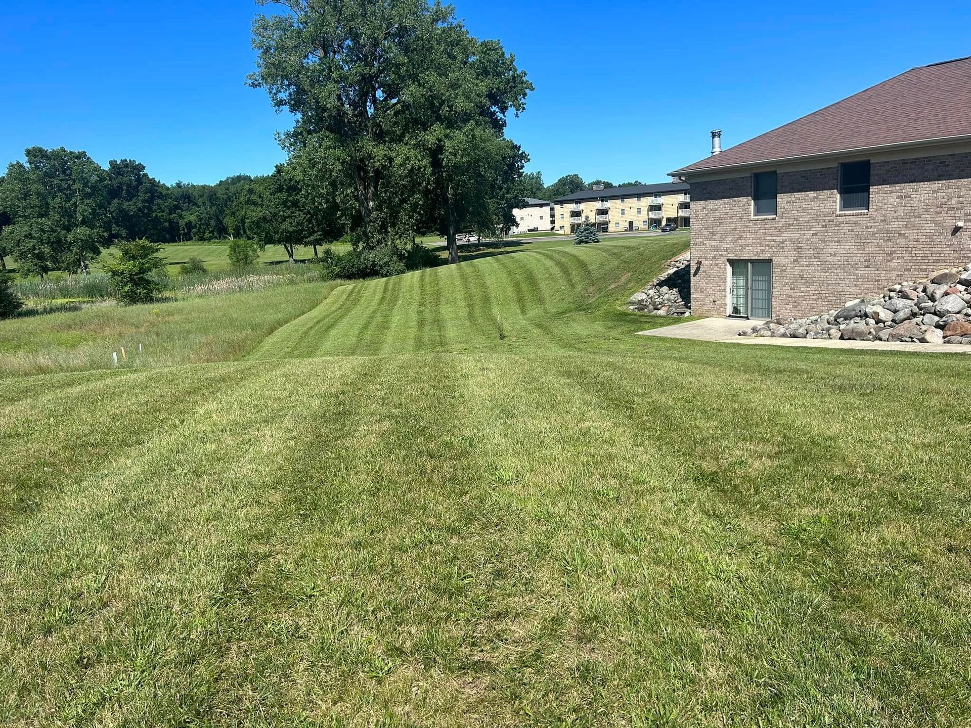 Lawn with fresh mowing lines, large tree, brick building, blue sky.