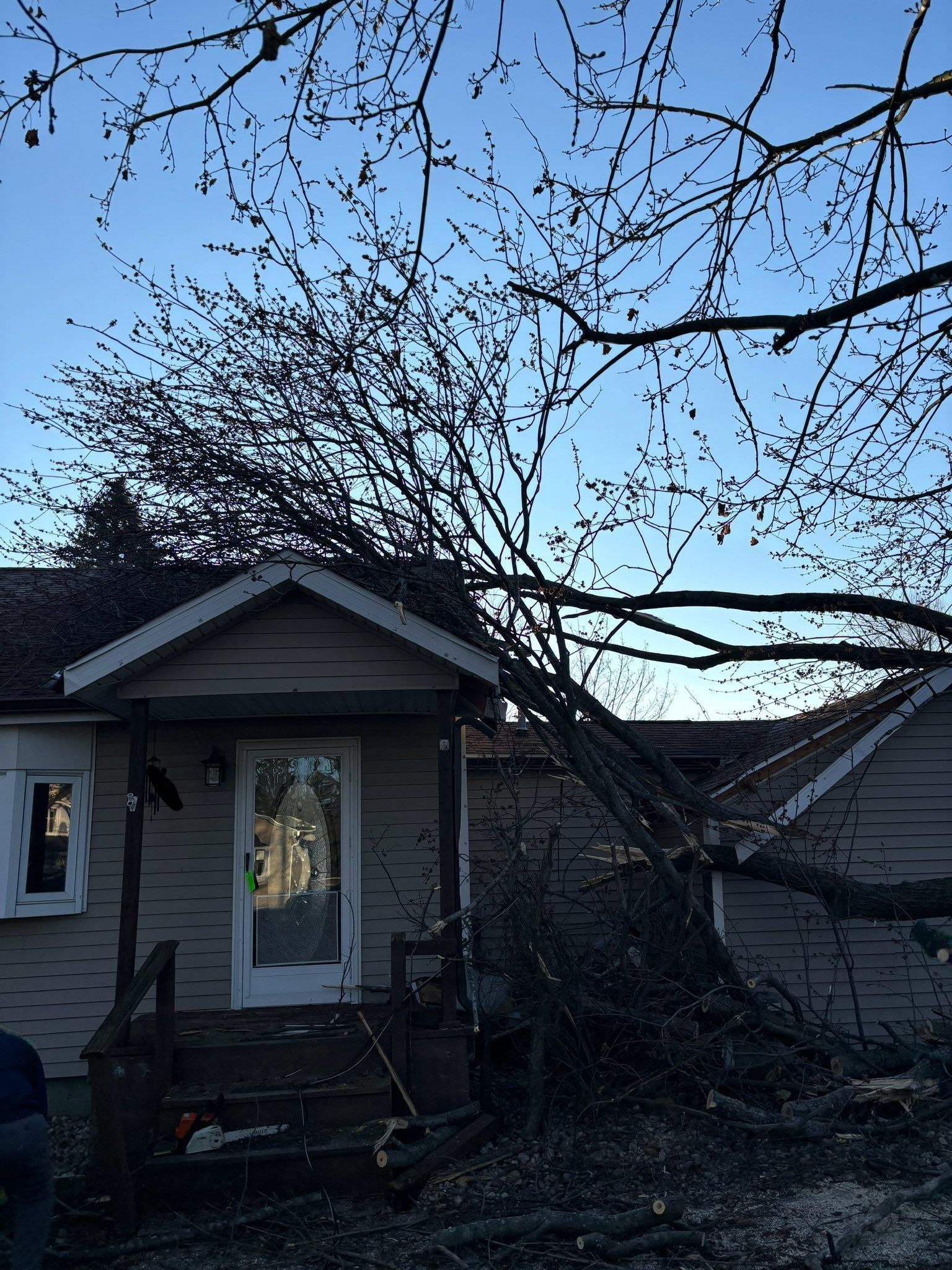 A tree fallen on a beige house with a porch. Blue sky.
