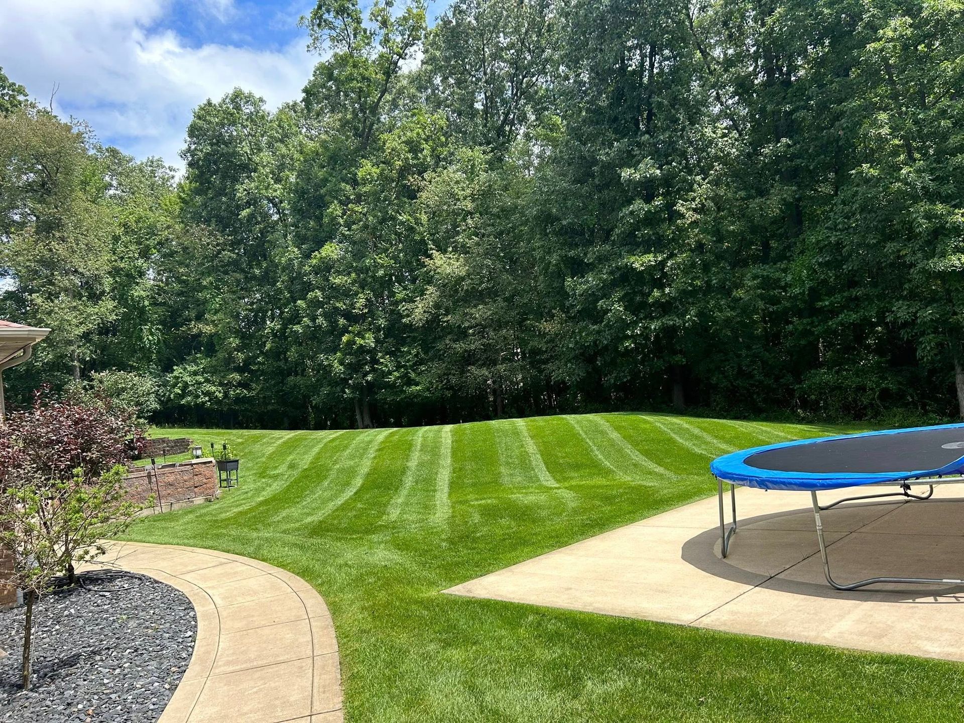 Lush green lawn with striped mowing pattern, concrete patio with trampoline, and trees in the background.