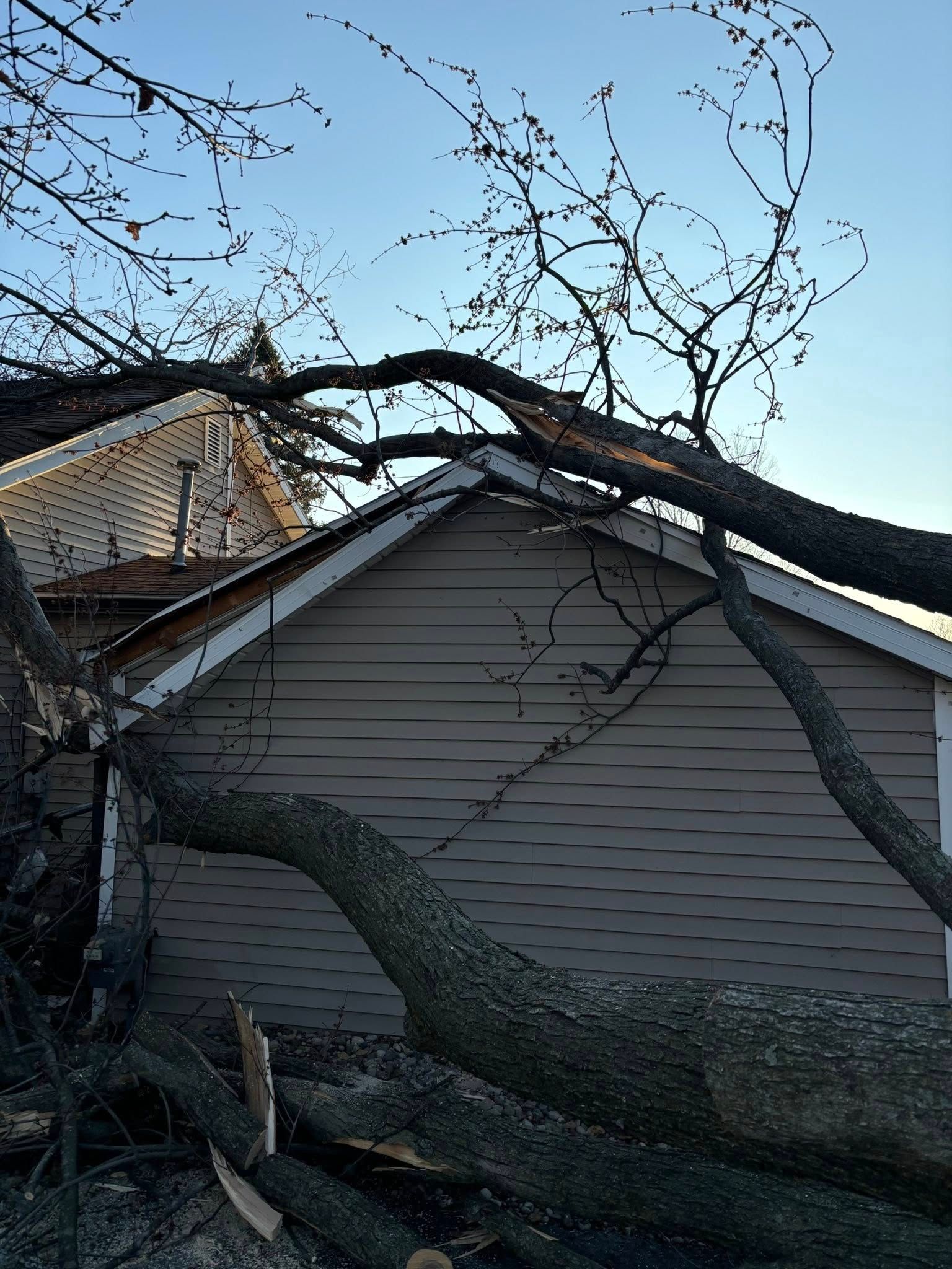 Tree branch fallen on a light brown house with blue sky background.