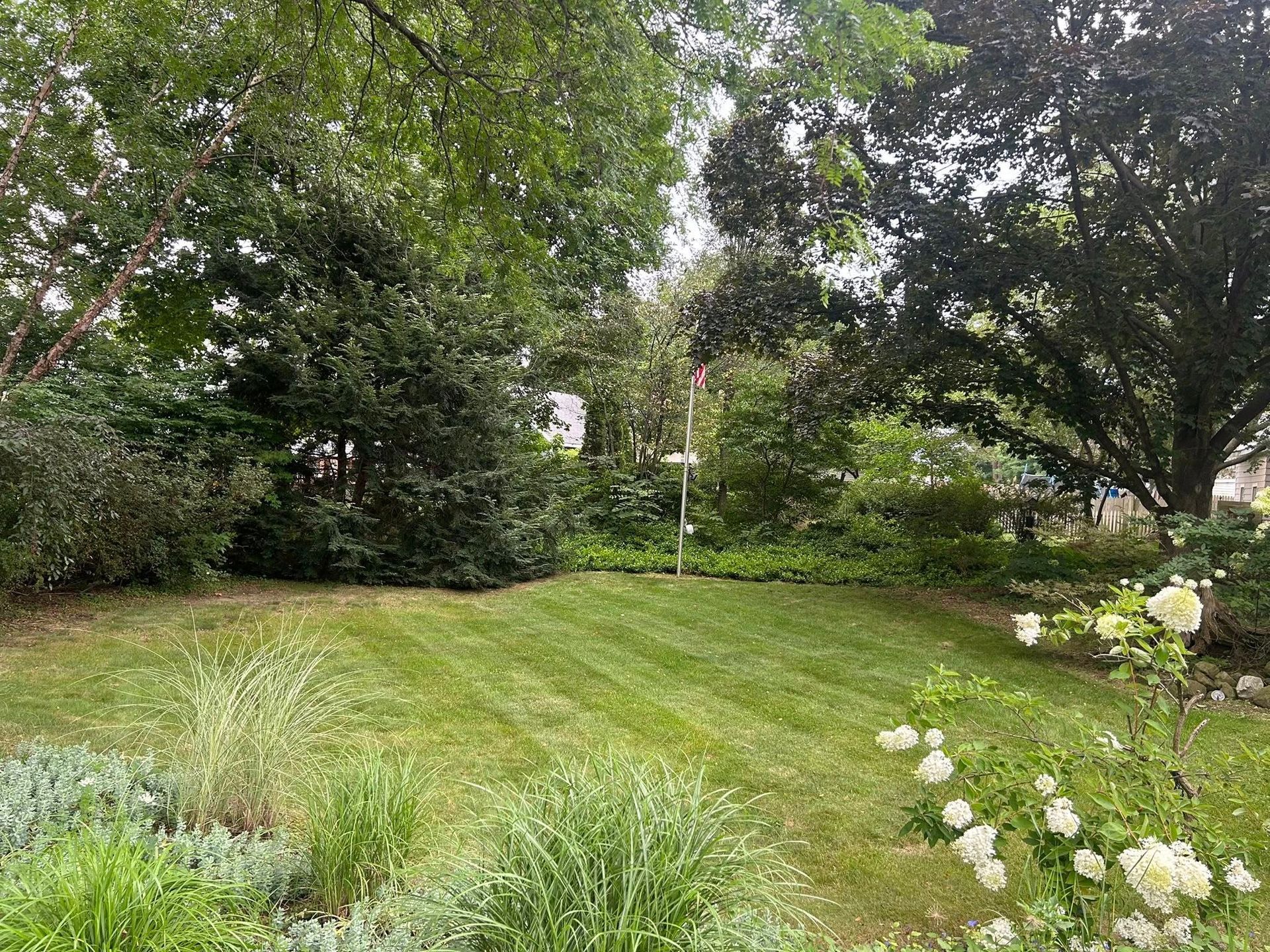 Lawn with freshly cut grass, surrounded by bushes and trees, with white flowers in the foreground.