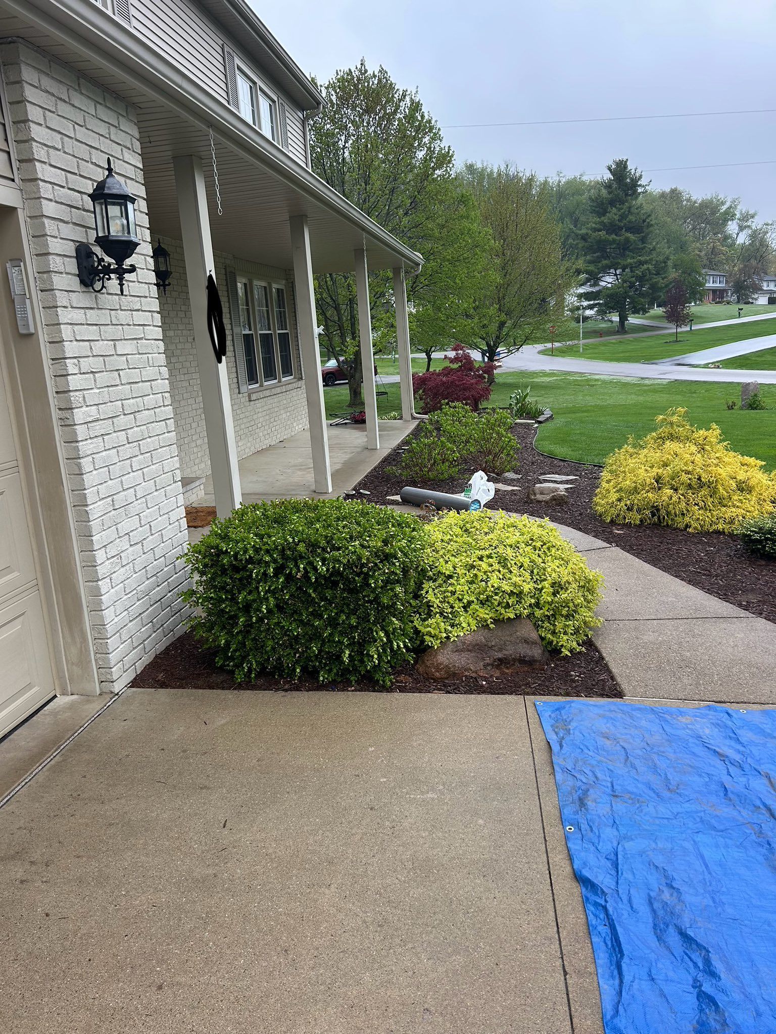 A house exterior with landscaping, including shrubs, mulch, and a concrete walkway; a blue tarp is at the bottom.