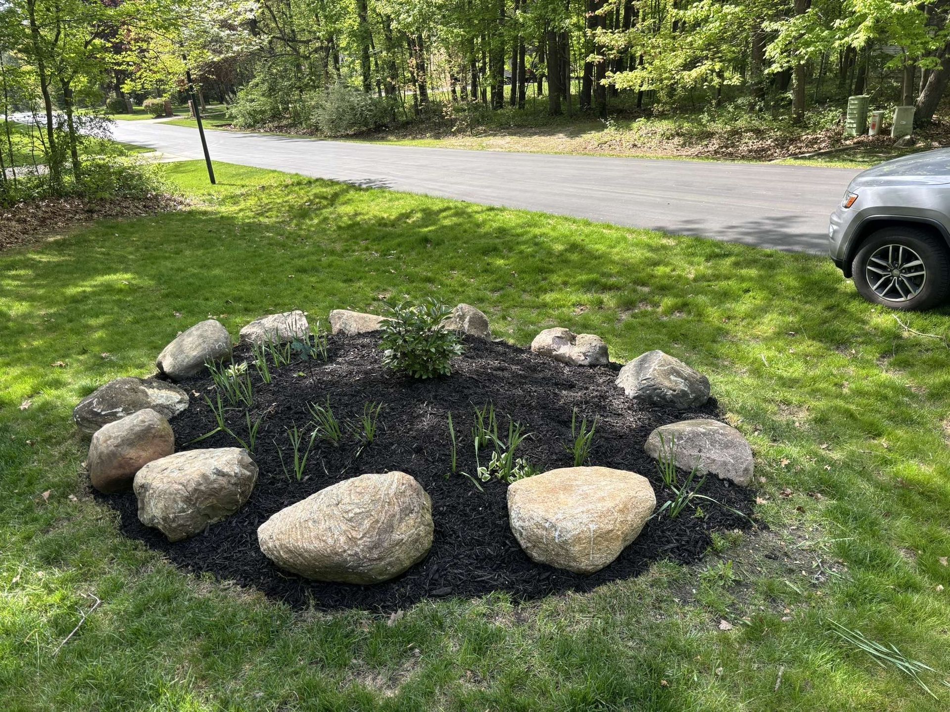 Circular flower bed with black mulch, rocks, and plants on a grassy lawn, next to a road and car.