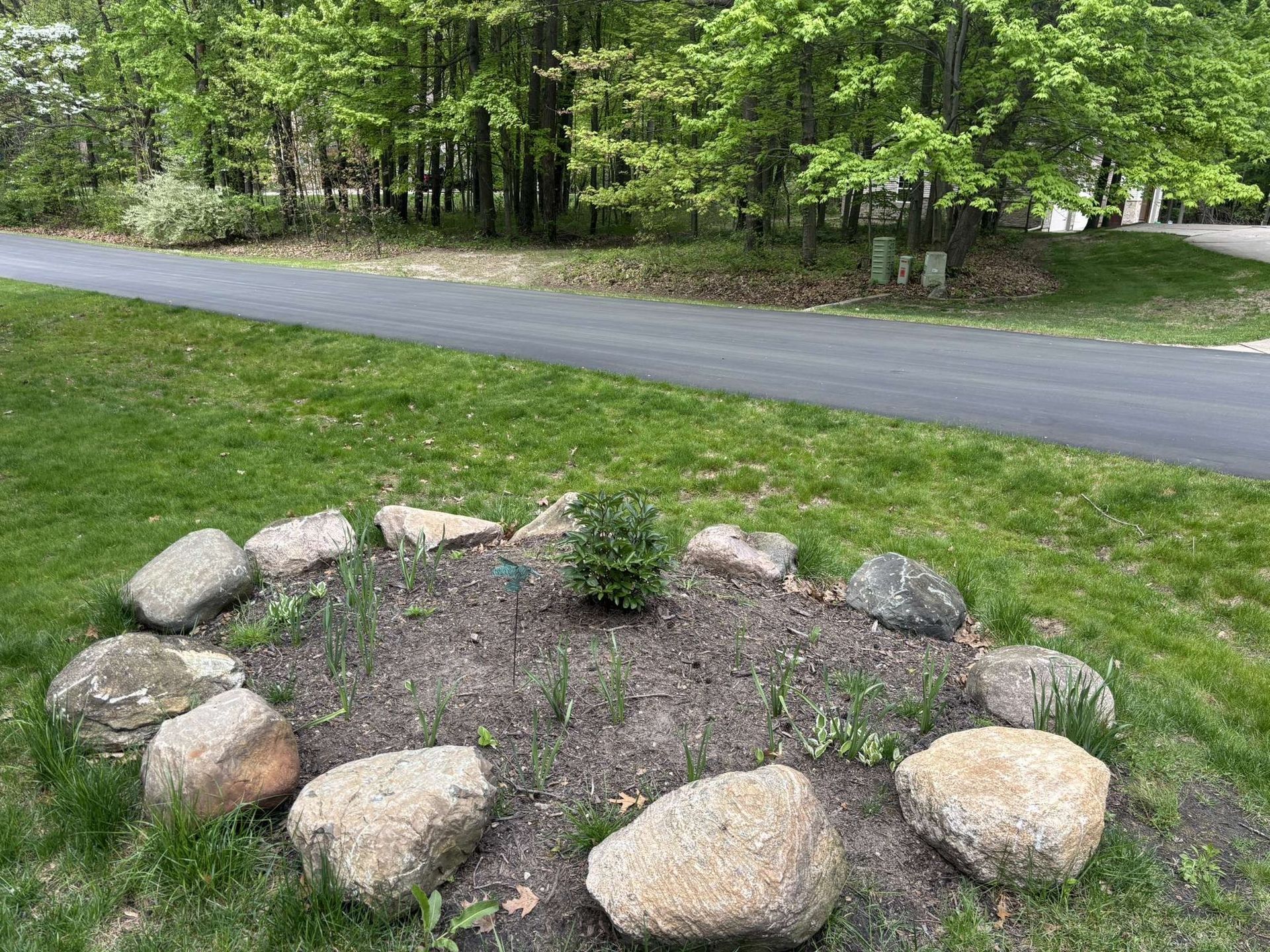 A small garden bed with rocks surrounding a small shrub, on a green lawn, next to a road.