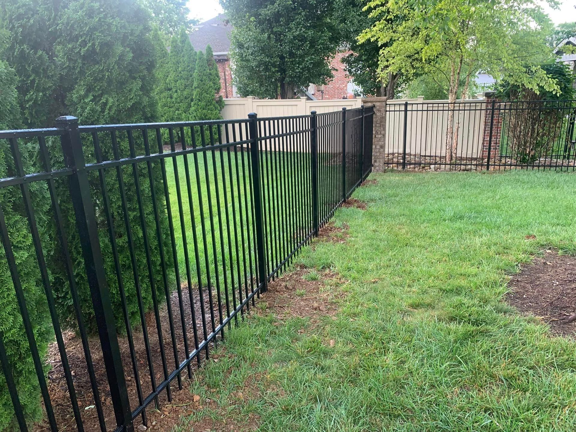 a black aluminum fence surrounds a lush green yard