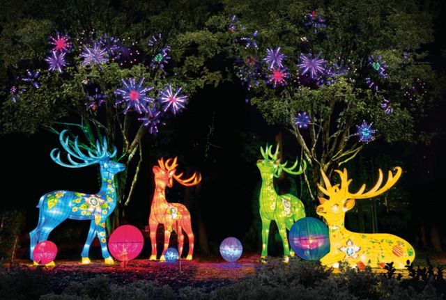 Splurge! Magazine | Get (Christmas) Lit!