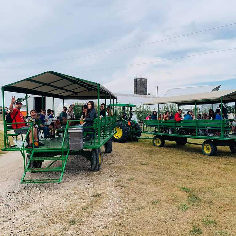 Tractor trailer ride at Walter’s Pumpkin Patch