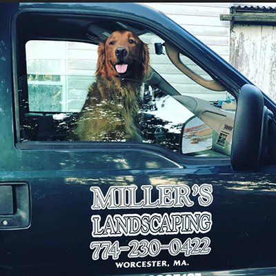 Landscaper Worcester, MA
