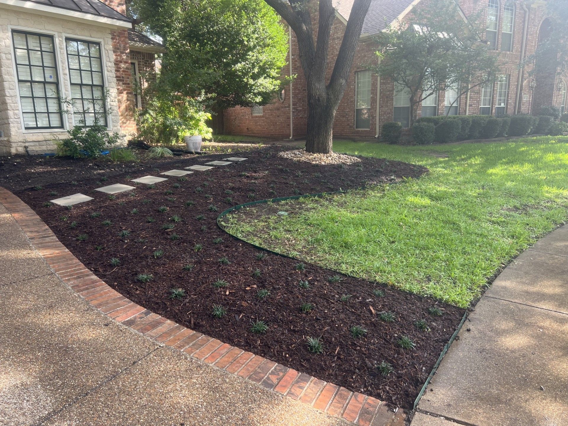 Front yard landscaping with curved mulch beds, grass, trees, and a brick home beside a concrete walkway