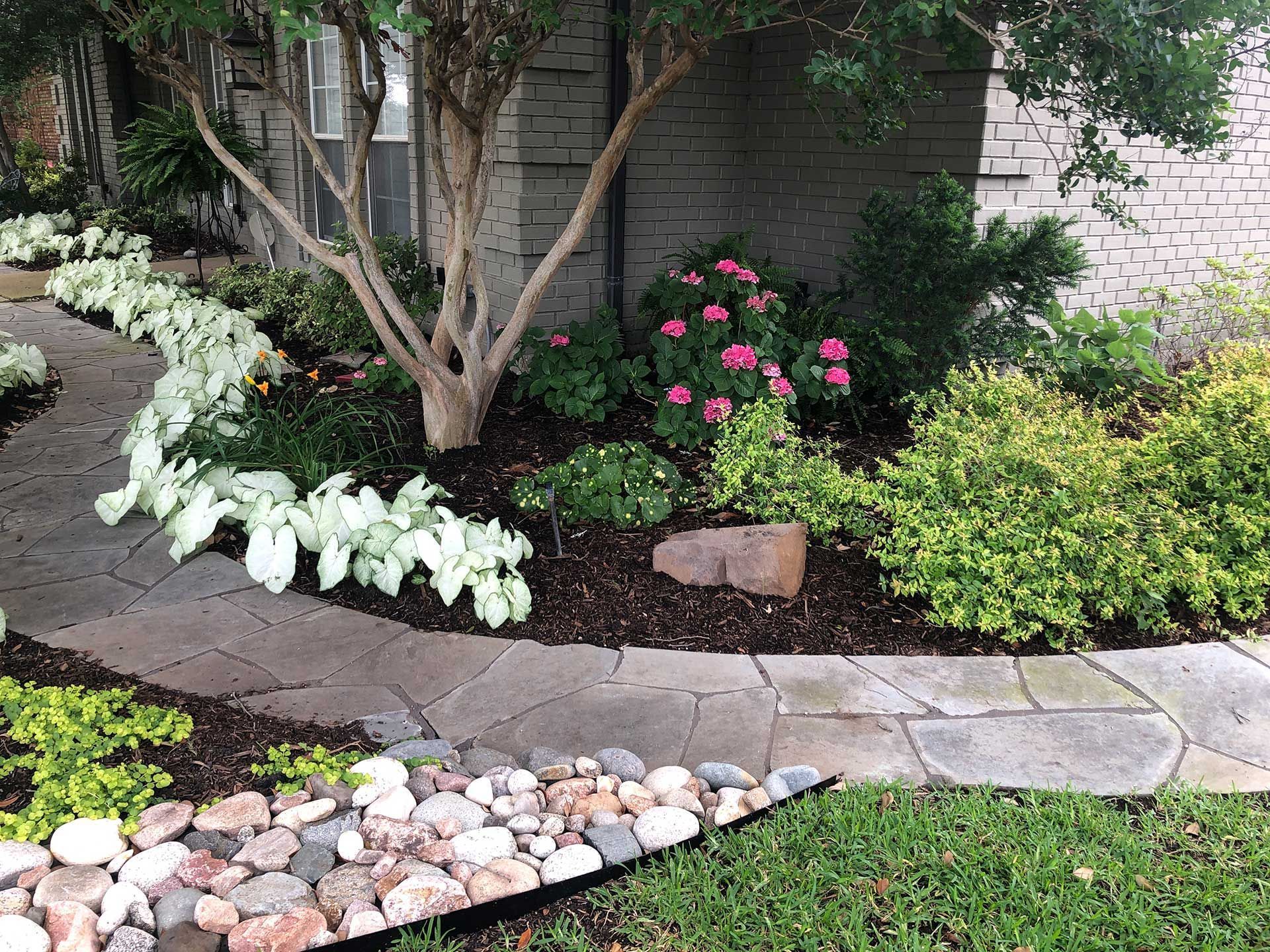 Landscaped garden bed with flowering shrubs, white hostas, stone edging, and mulch along a walkway