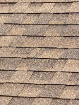 Asphalt roof shingles