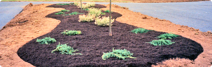 Mulch and bed maintenance