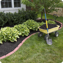 Mulch and bed maintenance