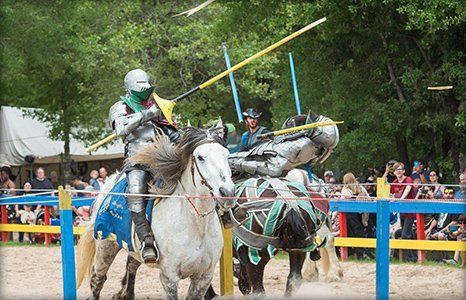 Medieval Jugging League of Sherwood