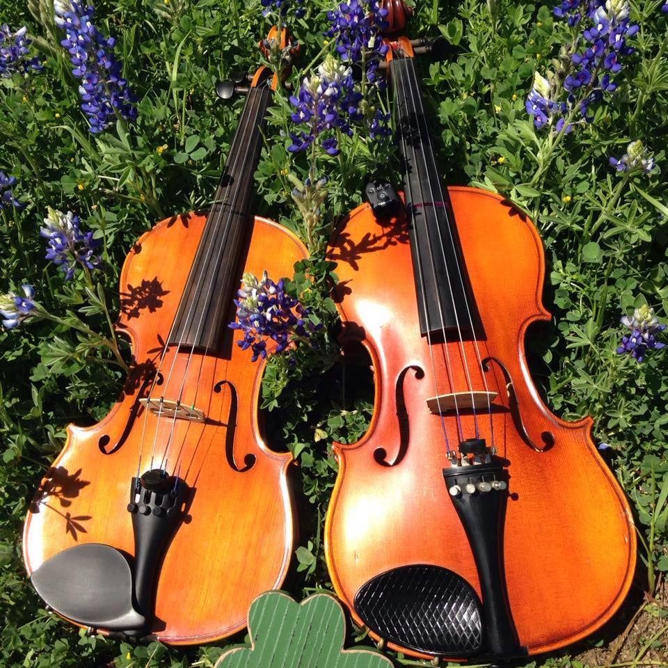 Two violins rest in bluebonnet flowers, orange wood and black details.