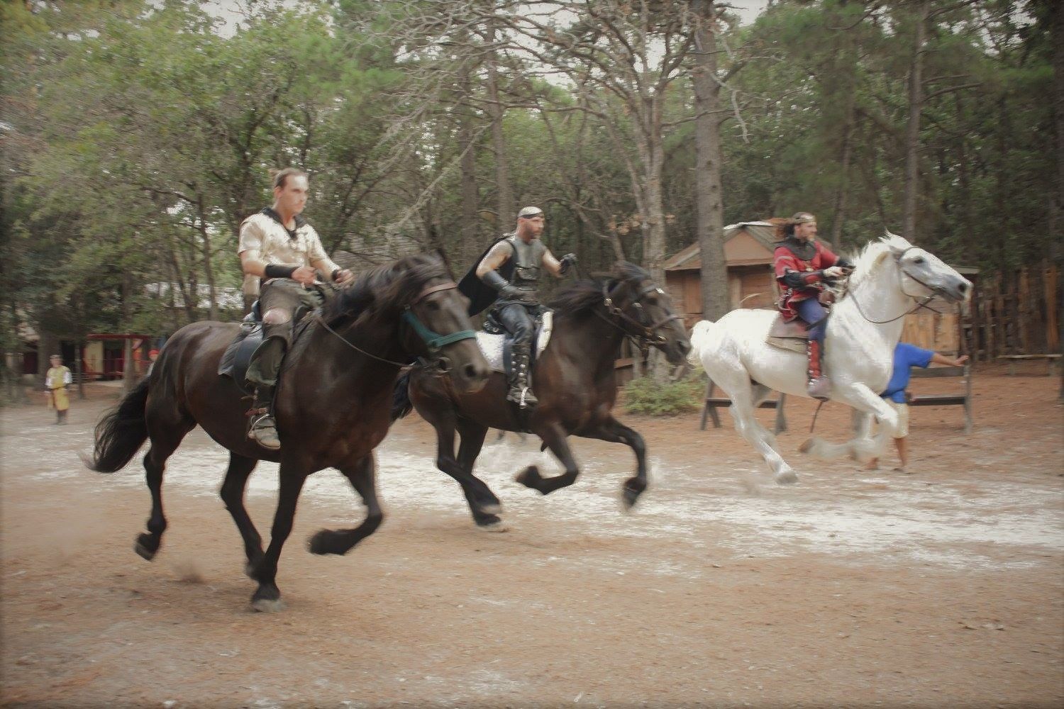 Three riders on horseback galloping across a dusty area, trees in the background.