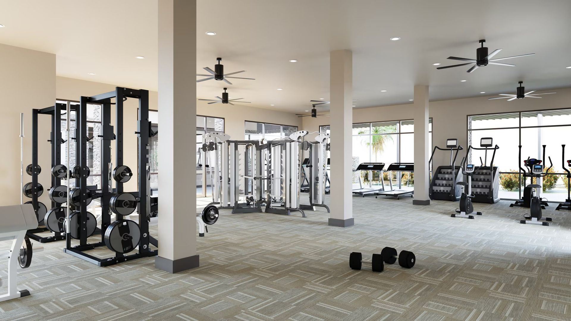 Bright gym with weight machines, mirrors, ceiling fans, and dumbbells on carpeted floor