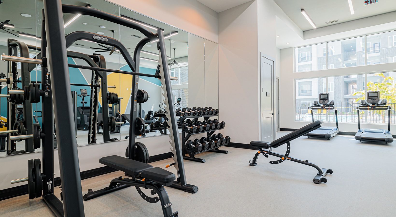 Bright modern gym with weight machines, dumbbells, and large windows.