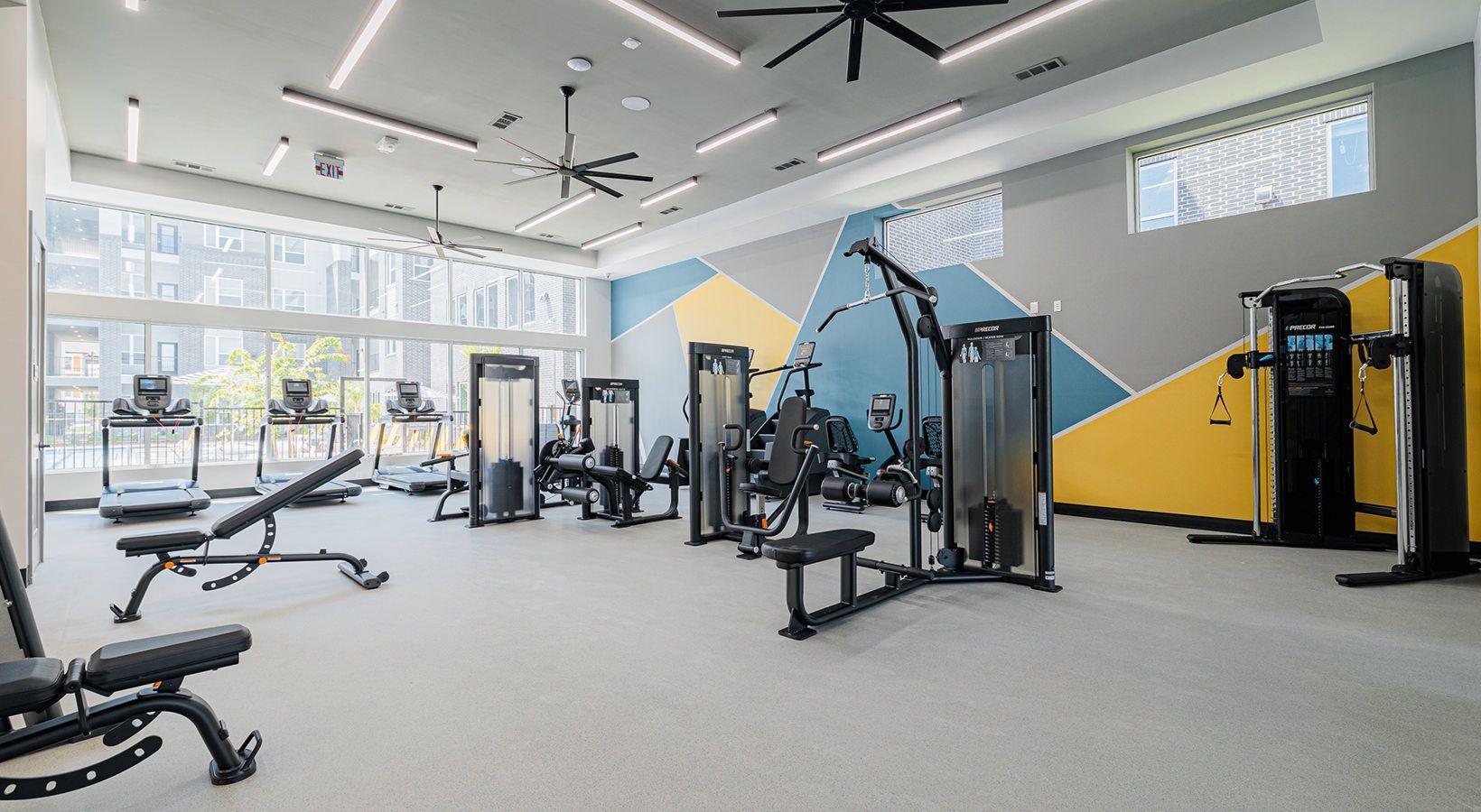 Modern gym interior with weight machines, benches, and large windows with geometric wall accents