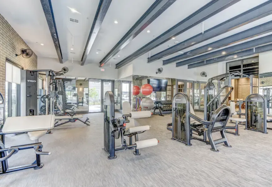Bright modern gym with cardio and strength machines, large windows, and white ceilings with exposed beams