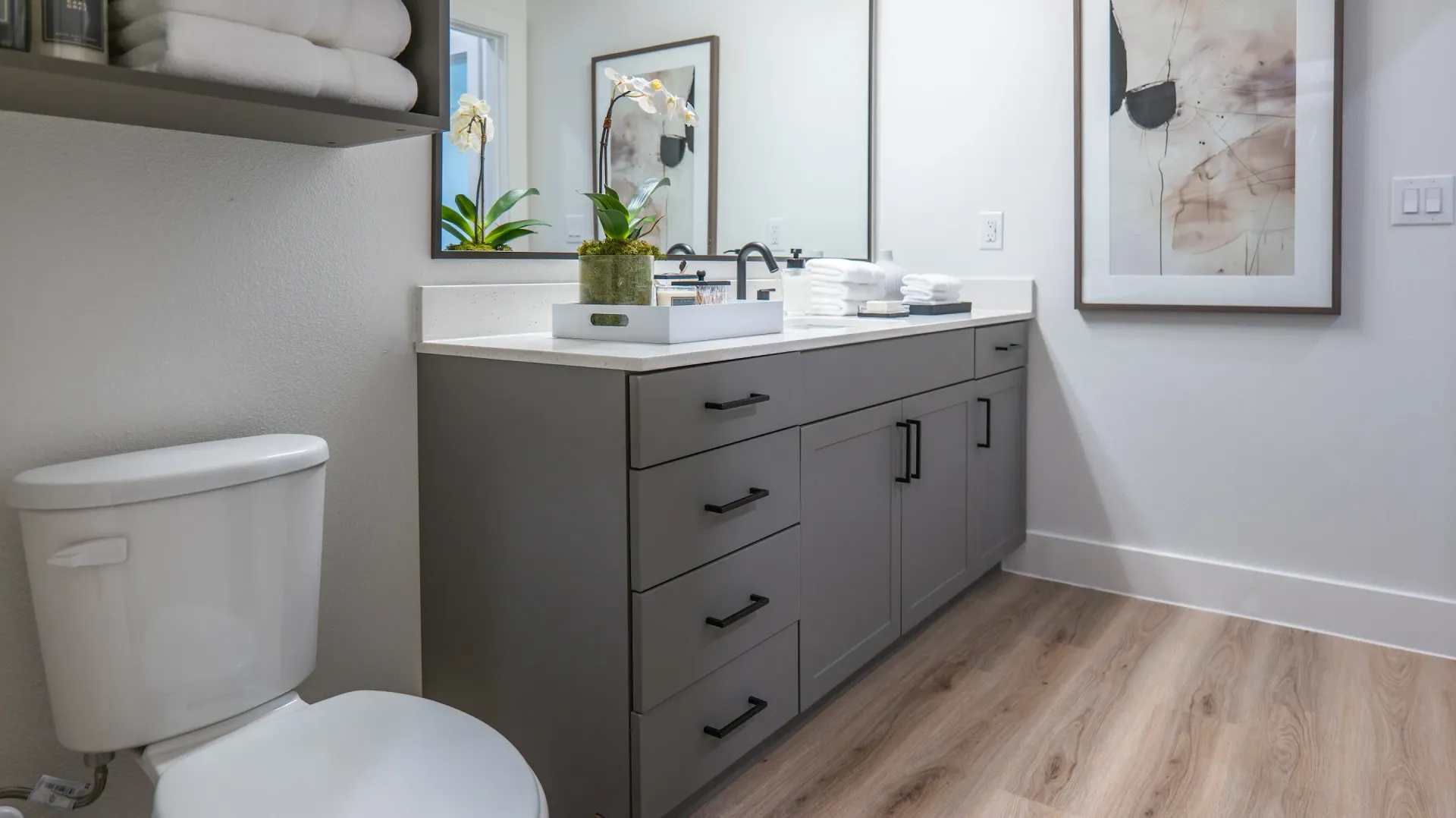 Modern bathroom with gray vanity, white sink, toilet, and framed wall art