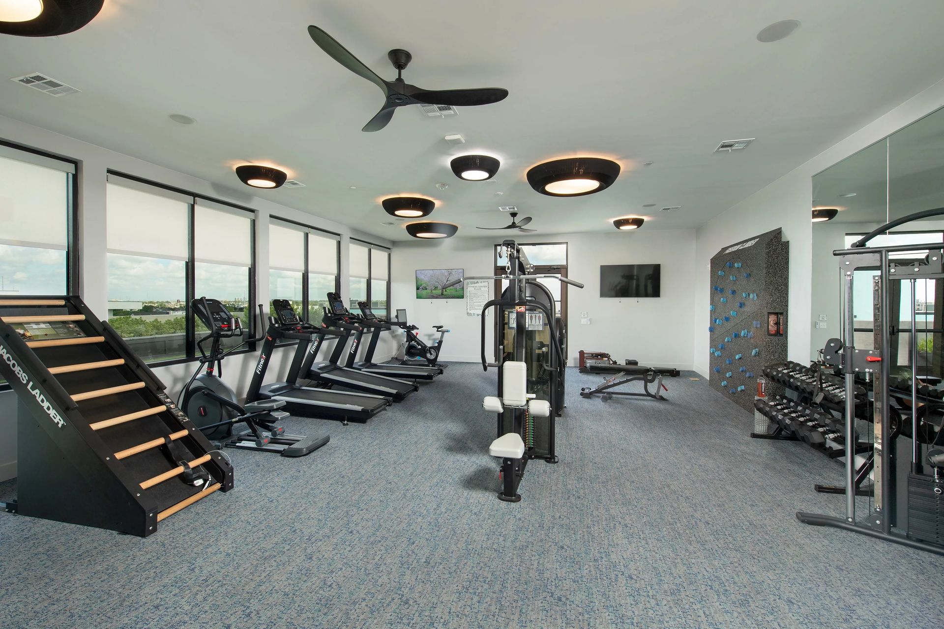 Modern gym interior with cardio machines, weight equipment, and large windows overlooking greenery