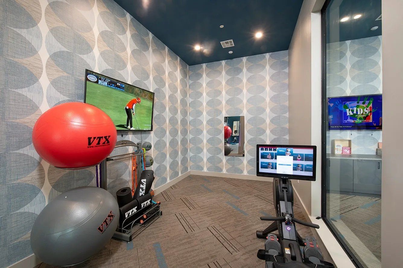 Modern fitness room with exercise bike, TV screen, and stability balls