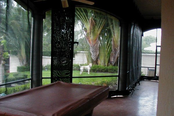 Screened porch with dog in yard, tall palm trees, and brown table.