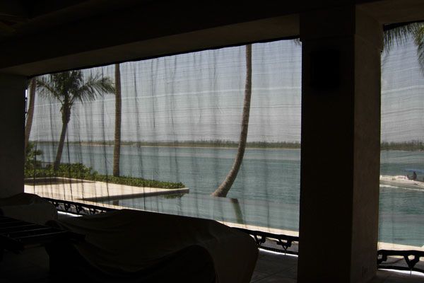 View through a screen to water and palm trees. Pool and covered furniture in foreground.