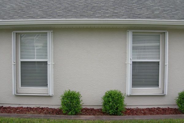 Two white-framed windows with blinds on a beige house, small green bushes below, and a dark mulch border.