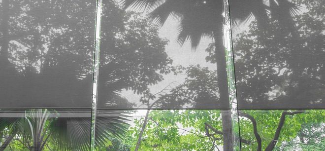 A view through a gray mesh screen showing lush green trees and palm fronds outside.